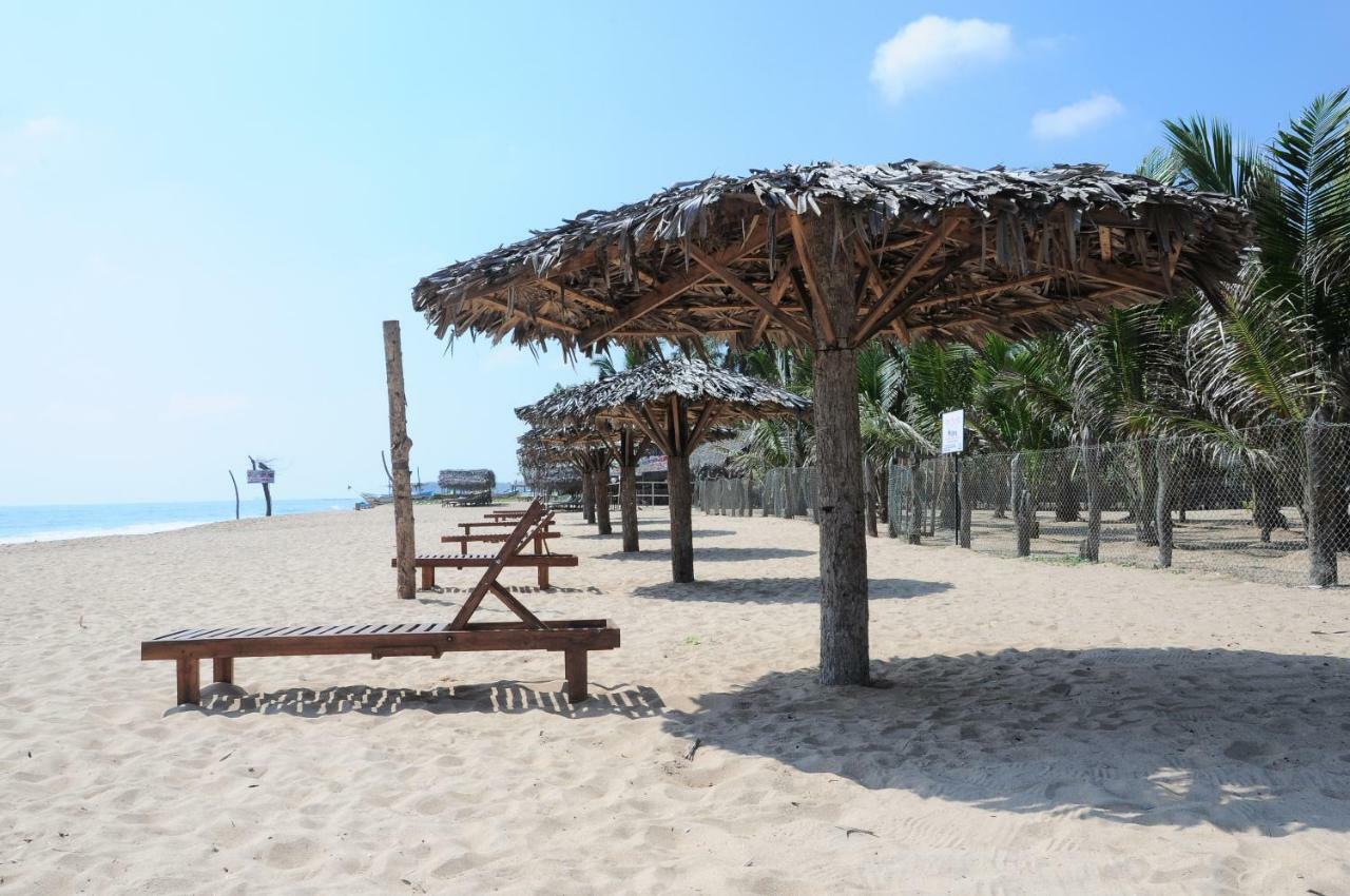 Mithra Paradise Beach Hotel Нилавели Экстерьер фото